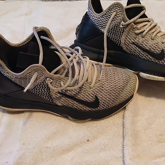 Lebrons - Picture 2 of 4